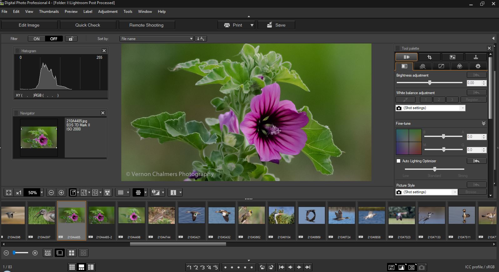 Digital Photo Professional 3.15.0 Updater For Mac Os X